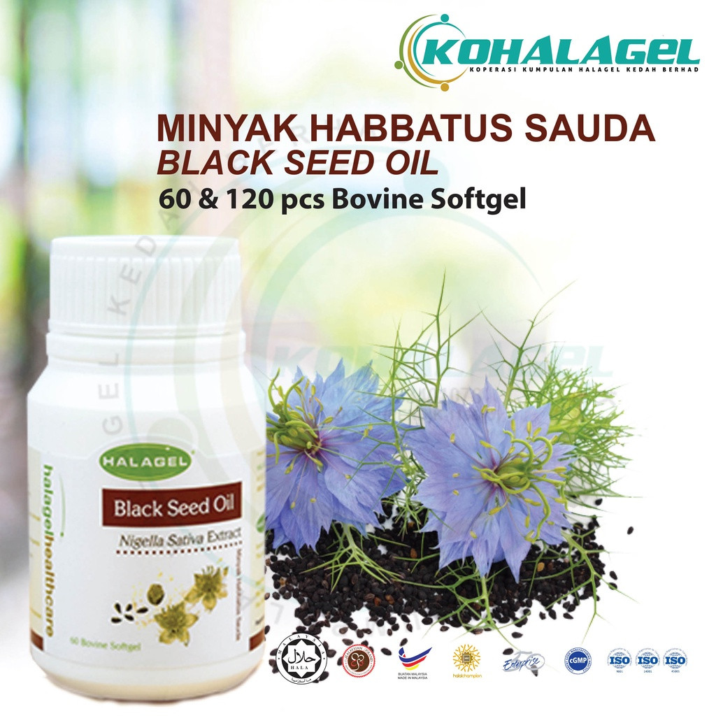HALAGEL® HEALTHCARE | Black Seed Oil Softgel | Kapsul Lembut Minyak Habbatussauda | 60 BIJI