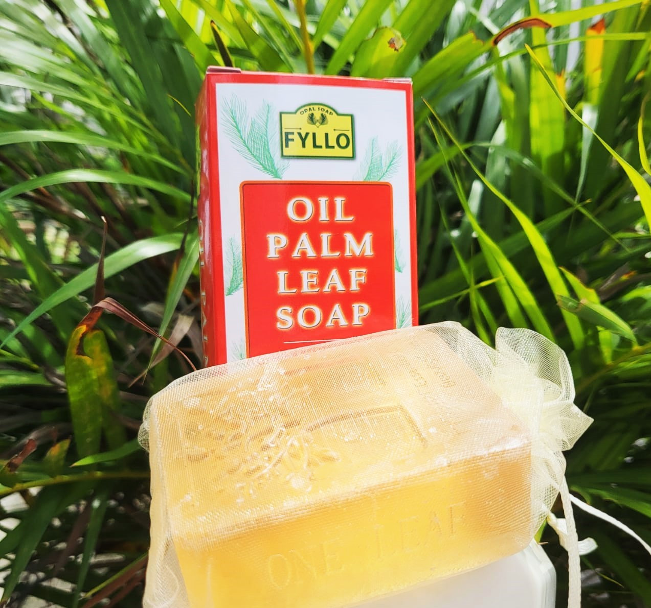 Fyllo Antioxidant Oil Palm Leaf (OPAL) Soap (115G)