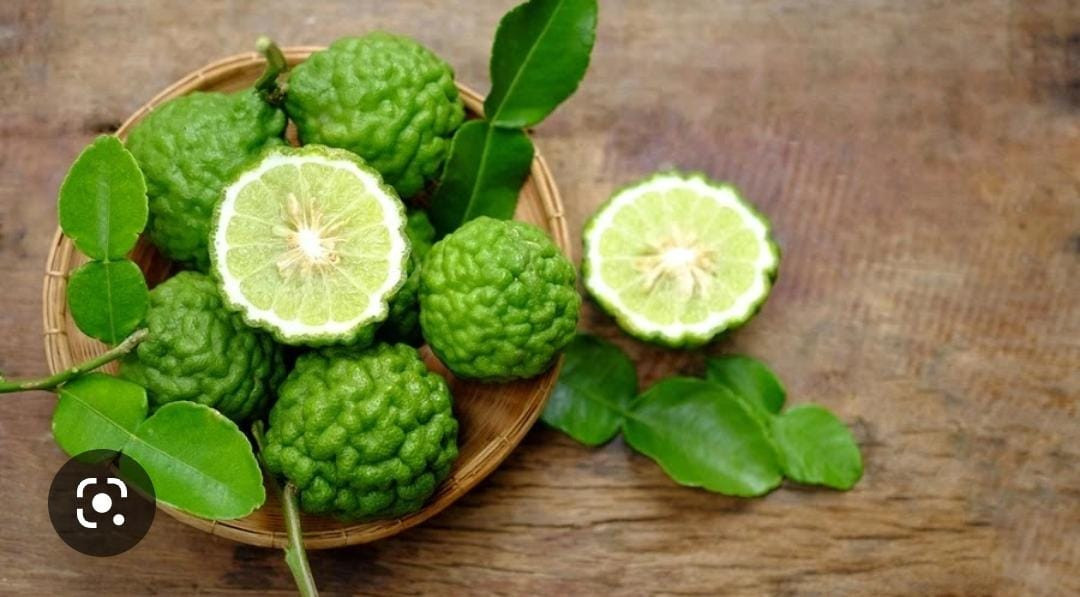 SENTUHAN JEMARI BONDA